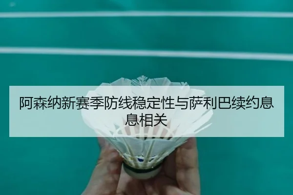 阿森纳新赛季防线稳定性与萨利巴续约息息相关（leyu）